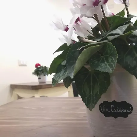 Bed and breakfast Persiane Al Cassaro 4*