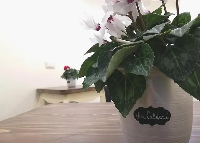 Bed & Breakfast Persiane Al Cassaro 4*